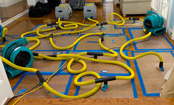 Professional Structural Drying And Dehumidification technician working in Trenton, TX